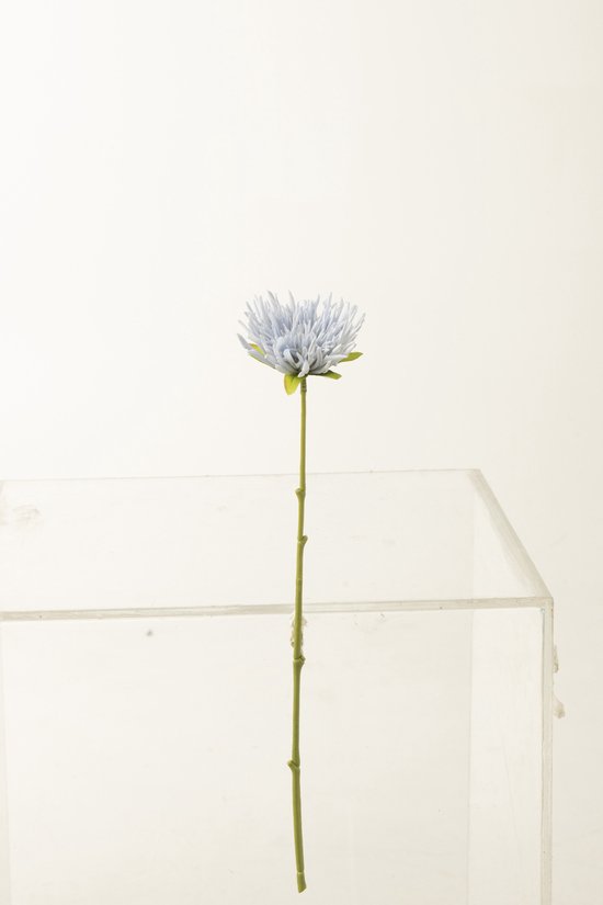 J-Line Chrysant Mini Plastiek Licht Blauw - 24 stuks