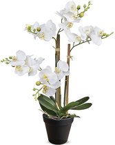 Kunstplant Orchidee / Phalaenopsis mini 3-tak wit H38cm - HTT Decorations