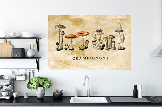 Stickers muraux - Champignon - Automne - Vintage - 120x80 cm - Feuille adhésive