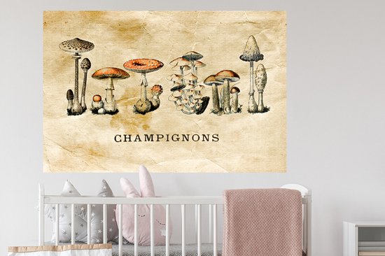 Stickers muraux - Champignon - Automne - Vintage - 120x80 cm - Feuille adhésive