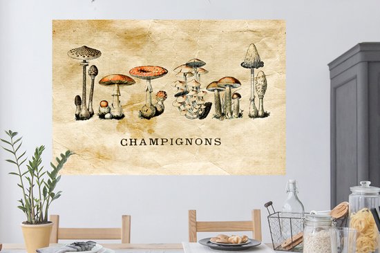 Stickers muraux - Champignon - Automne - Vintage - 120x80 cm - Feuille adhésive