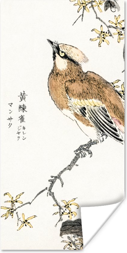 Poster Vintage - Vogel - Japans - Tekens - 20x40 cm