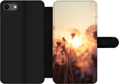 Bookcase Convient pour étui de téléphone iPhone SE 2020 - Pissenlit - Coucher de soleil - Printemps - Avec compartiments - Étui portefeuille avec fermeture magnétique