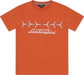 Automobili Lamborghini Jongens Graphic Y T-shirt