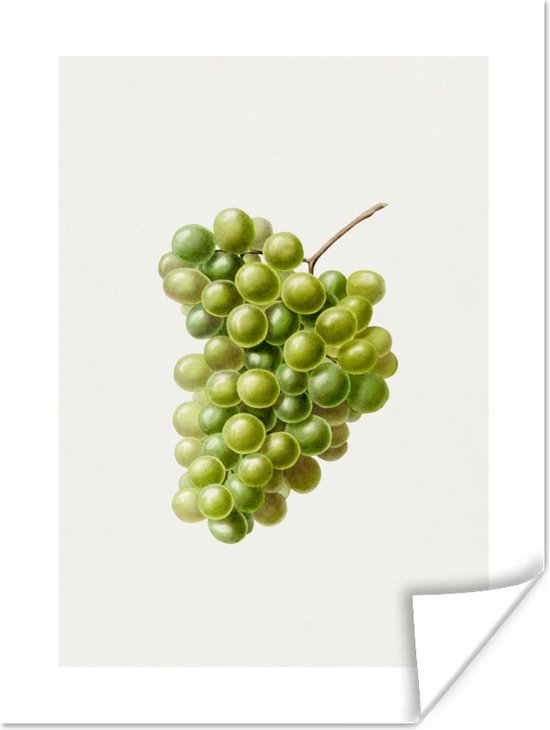 Poster Druiven - Eten - Tros - 30x40 cm