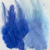 Mélange de plumes bleues - 9 à 15 cm de haut - 15 pièces
