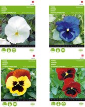 Cactula Violen bloemen zaden set van 4 soorten | Viool Red Wing | Viool Alpenmeer blauw | Hoornviooltje Bambini gemengd | Viool avondrood