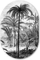 Wandovaal Palm Jungle - WallCatcher | Kunststof 60x90 cm | Ovalen schilderij | Muurovaal Palmen op Forex