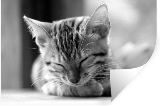 Muurstickers - Sticker Folie - Een slapende kitten - zwart wit - 60x40 cm - Plakfolie - Muurstickers Kinderkamer - Zelfklevend Behang - Zelfklevend behangpapier - Stickerfolie