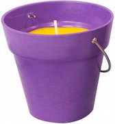 geurkaars Citronella 8,5 cm paars