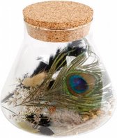 droogbloemen Pauw 19 x 18 cm glas/kurk groen