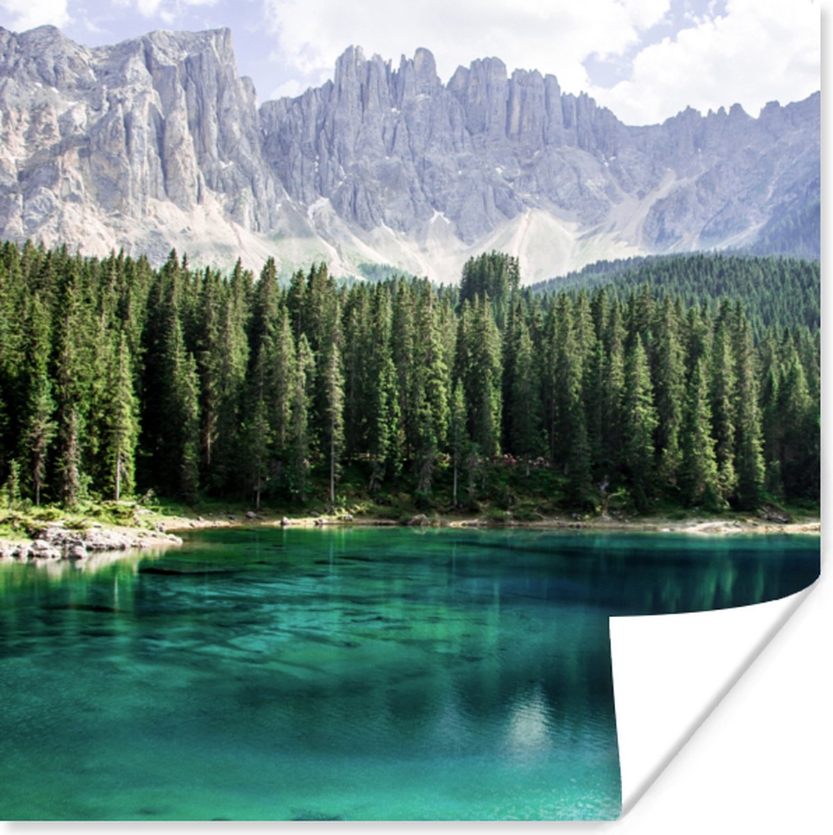 Poster Berg - Bomen - Water - 50x50 cm