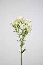 Kunstbloem Royal Dianthus - topkwaliteit decoratie - Wit - zijden tak - 76 cm hoog