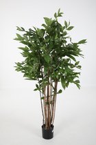 Kunstplant Dracaena Surculosa - topkwaliteit decoratie - Groen - zijden plant - 150 cm hoog