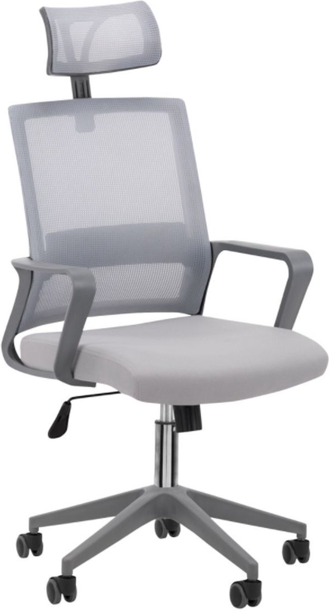 Bureaustoel - Ergonomisch Bureaustoel - Comfortabel - Grijs - 55x48x48