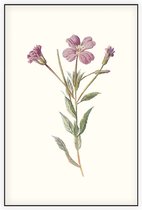 Harig Wilgenroosje (Greater Willow Herb) - Foto op Akoestisch paneel - 100 x 150 cm