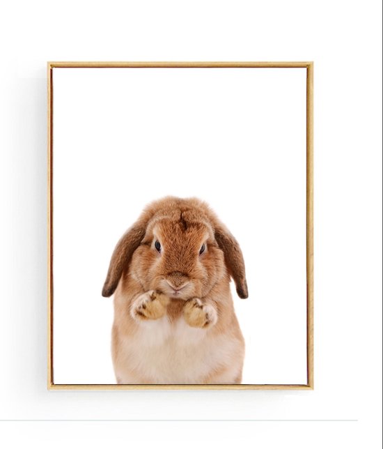 Affiche City - Design Impressions sur toile Lapin - Nourriture pour lapin  avec pattes... | bol