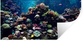 Muurstickers - Sticker Folie - Aquarium met tropische vissen en koralen - 120x60 cm - Plakfolie - Muurstickers Kinderkamer - Zelfklevend Behang - Zelfklevend behangpapier - Stickerfolie