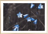 Poster Met Metaal Gouden Lijst - Blauwe Bellen Bloemen Poster