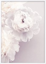 Poster Met Witte Lijst - Pioenroos Bloemen Poster