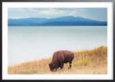 Poster Met Zwarte Lijst - Wild Yellowstone Poster