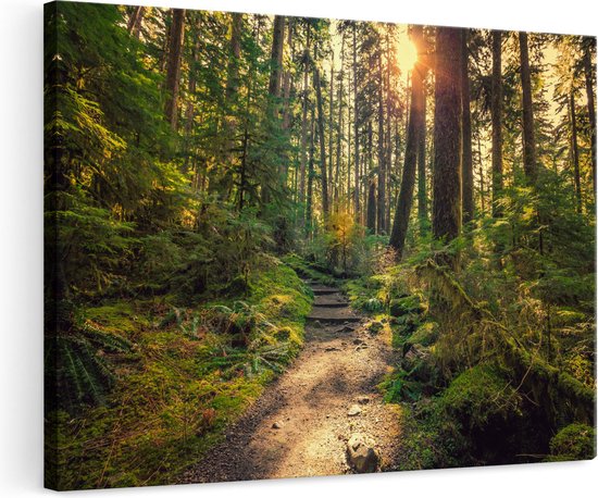 Artaza Canvas Schilderij Voetpad in het Bos - 120x80 - Groot - Foto Op Canvas - Wanddecoratie Woonkamer