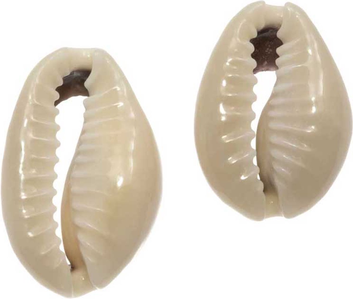 Kauri Schelpjes (16 - 20 mm) Dark Khaki (20 gram / ca. 25 stuks)