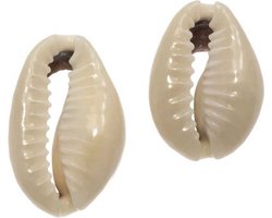 Kauri Schelpjes (16 - 20 mm) Dark Khaki (20 gram / ca. 25 stuks)