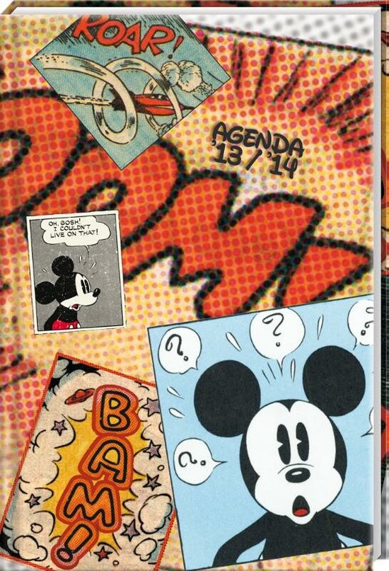 Cover van het boek 'Schoolagenda 13-14  Mickey Mouse'