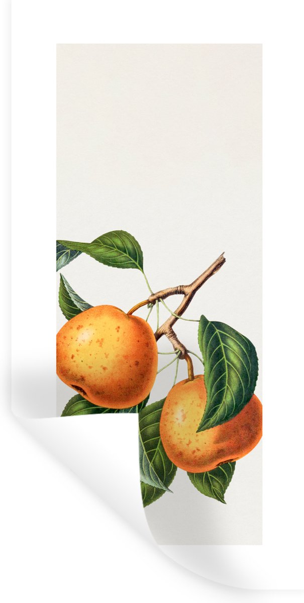 Muurstickers - Sticker Folie - Fruit - Sinaasappel - Bladeren - 20x40 cm - Plakfolie - Muu