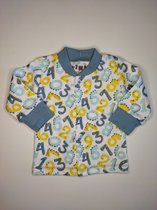 Nini - Vestje Floris - Shirtje met drukknopen - Maat 56 - 0 t/m 2 maanden