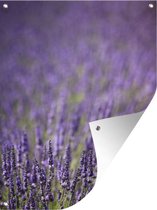 Tuinposter - Tuindoek - Tuinposters buiten - Close-up van een veld paarse lavendel - 90x120 cm - Tuin