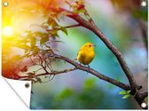 Tuin decoratie Mooie gele kanarie vogel in Barcelona - 40x30 cm - Tuindoek - Buitenposter