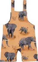 Elephant Family Romper Bio-Babykleertjes Bio-Kinderkleding