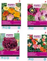 Cactula Poppy / Klaprozen zaden set van 4 soorten | Papaver Slaapbol | Papaver Black Paeony | Slaapmutsje | Slaapmutsjes Dubbelbloem | Set je tuin vol met bloemen!
