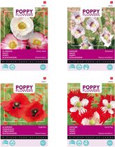 Cactula Poppy / Klaprozen zaden set van 4 soorten | Klaproos Gemengd | Klaproos Rhoeas Rood | Papaver Blauwmaanzaad | Papaver Deense Vlag | Set je tuin vol met bloemen!