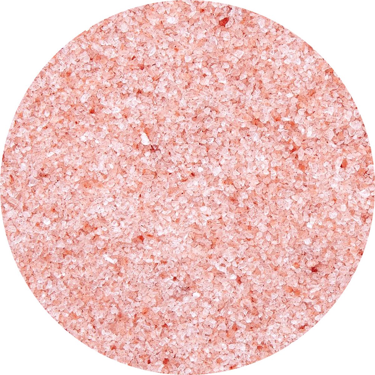 Goedkoopste Van Beekum Specerijen - Himalaya Zout Fijn - 25 KG - Zak (bulk verpakking