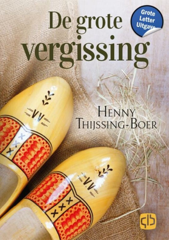 De grote vergissing - cover