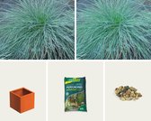 Gevulde plantenbak - Luxor Plantenbak Cortenstaal (L)60 x (B)60 x (H)60 cm | Default