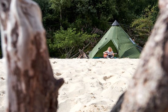 Grand Canyon Black Falls 8 Tipi Tent Groen van Grand Canyon — afbeelding 4