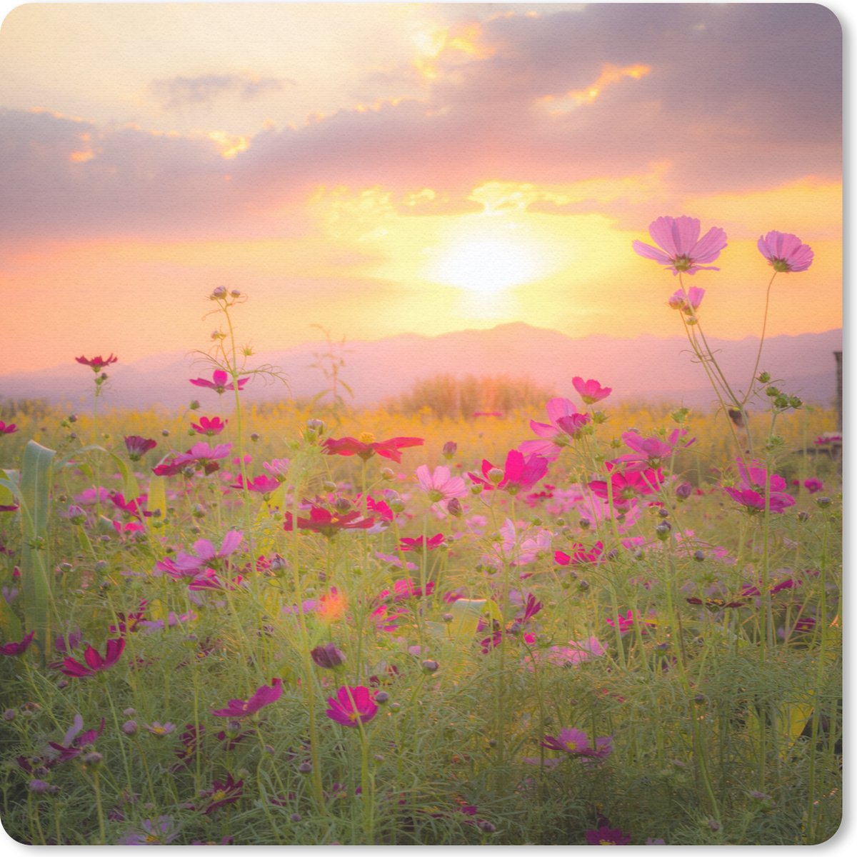 Muismat 30x30 cm - Mousepad Bloemen - Wild - Schemer - Muismatten