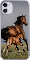 Geschikt voor iPhone 11 hoesje - Dieren - Paarden - Veulen - Siliconen Telefoonhoesje