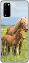 Geschikt voor Samsung Galaxy S20 hoesje - Paarden - Veulen - Berg - Siliconen Telefoonhoesje