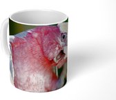 Mok - Rood gekleurde kaketoe op een houten tak - 350 ML - Beker - Uitdeelcadeautjes