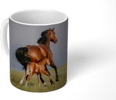 Mok - Dieren - Paarden - Veulen - 350 ML - Beker - Uitdeelcadeautjes