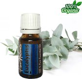 Eucalyptus etherische Olie 10 ml | Eucalyptus Oil | 100% PUUR | Bio | Essentiële olie Aromatherapie | Olie diffuser | Pure Naturals