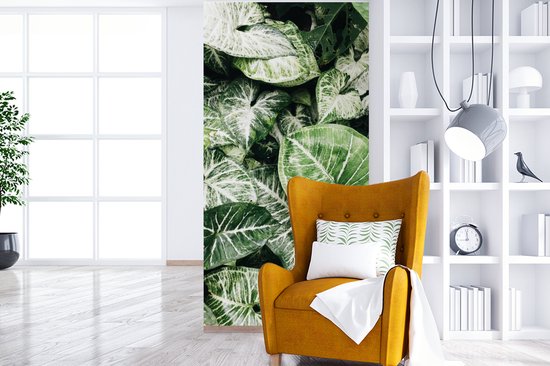 Papier Peint - Papiers Papier peint photo Feuilles - Nature - Végétal - Largeur 120 cm x Hauteur 240 cm
