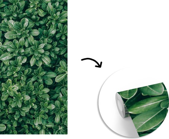Papier Peint - Papiers Papier peint photo Feuilles - Plantes - Nature - Largeur 120 cm x Hauteur 240 cm