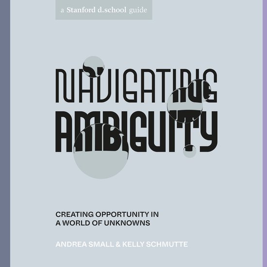 Navigating Ambiguity - cover