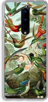 Case Company® - OnePlus 8 hoesje - Haeckel Trochilidae - Soft Cover Telefoonhoesje - Bescherming aan alle Kanten en Schermrand
